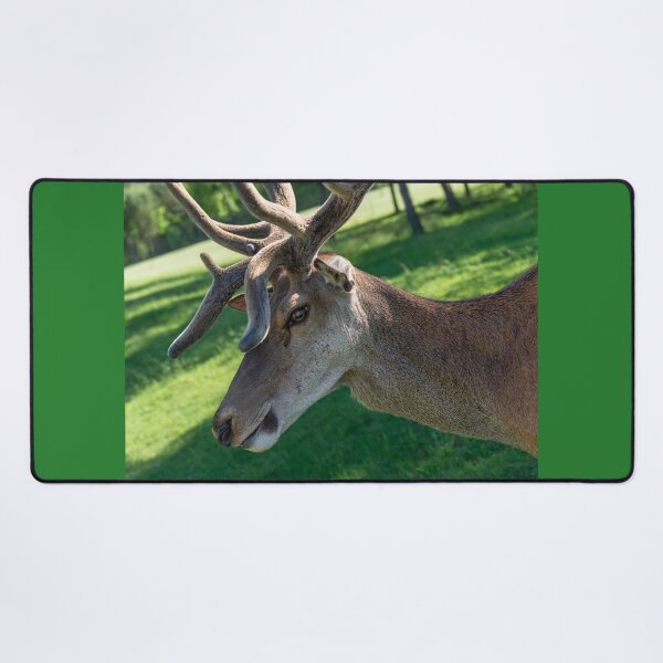 Item preview, Portrait of a majestic red deer designed and sold by AlbertMi.