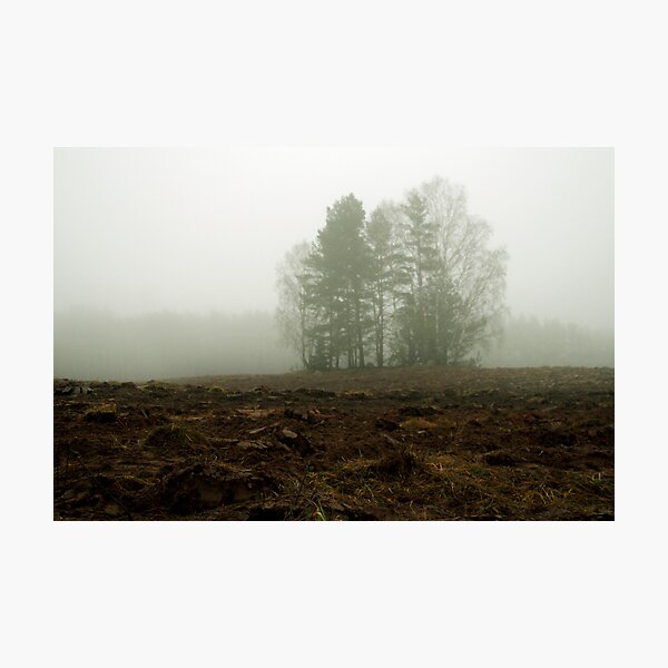 My land 3 Photographic Print