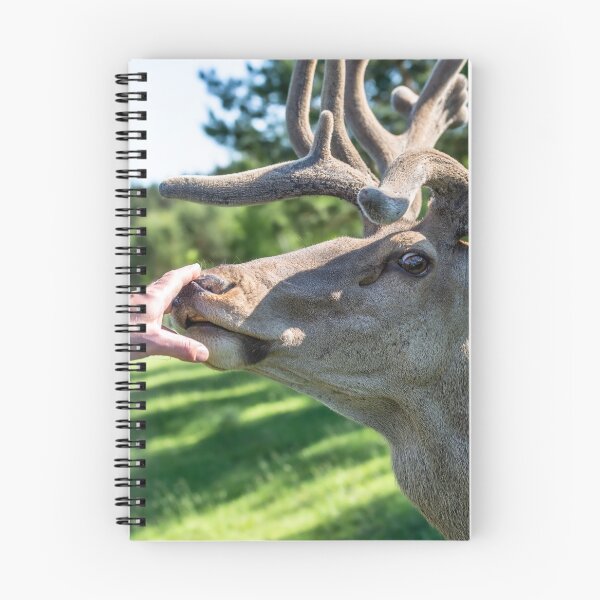 Item preview, Portrait of a majestic red deer designed and sold by AlbertMi.
