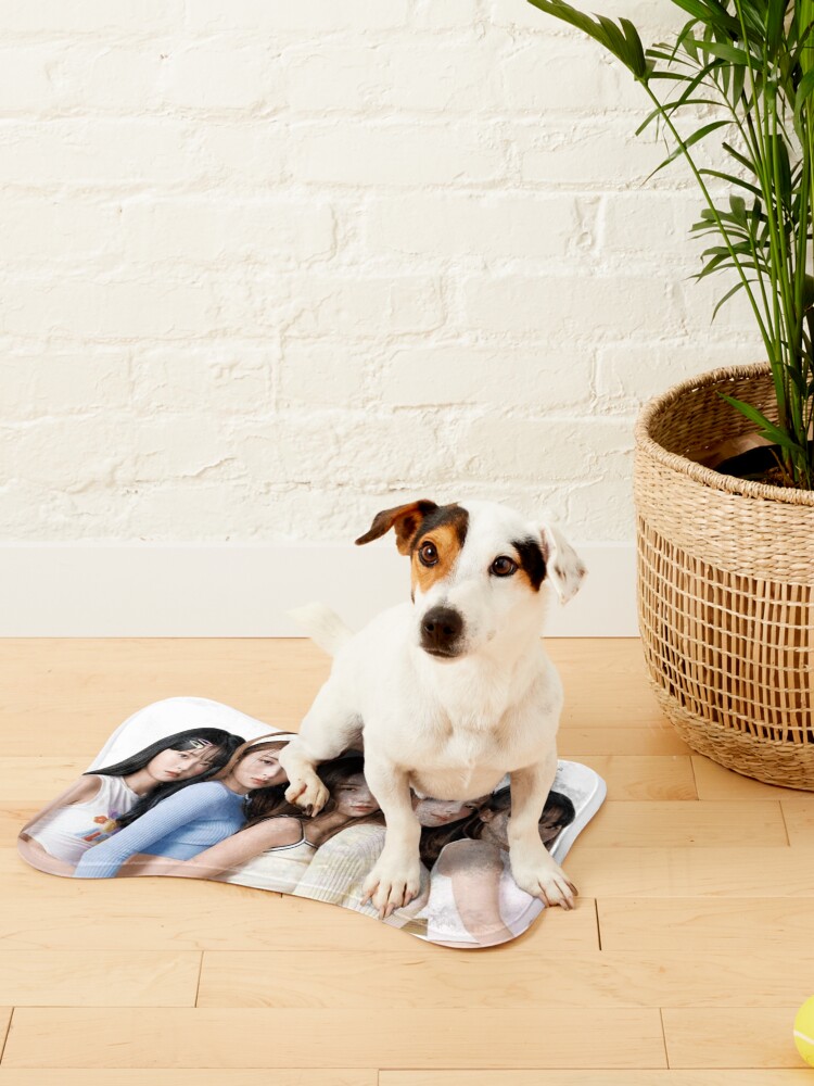 Le Sserafim Lesserafim OT5 cute sticker | Pet Mat