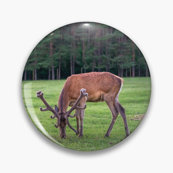 Item preview, A majestic red deer grazing in a meadow in summer designed and sold by AlbertMi.