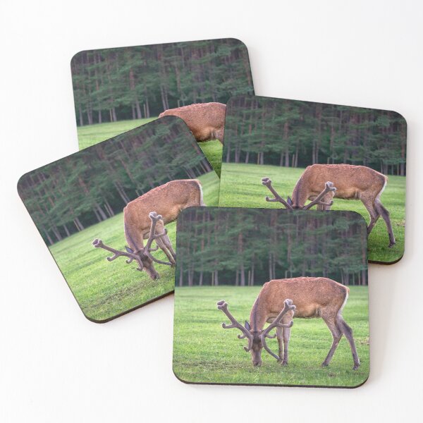 Item preview, A majestic red deer grazing in a meadow in summer designed and sold by AlbertMi.