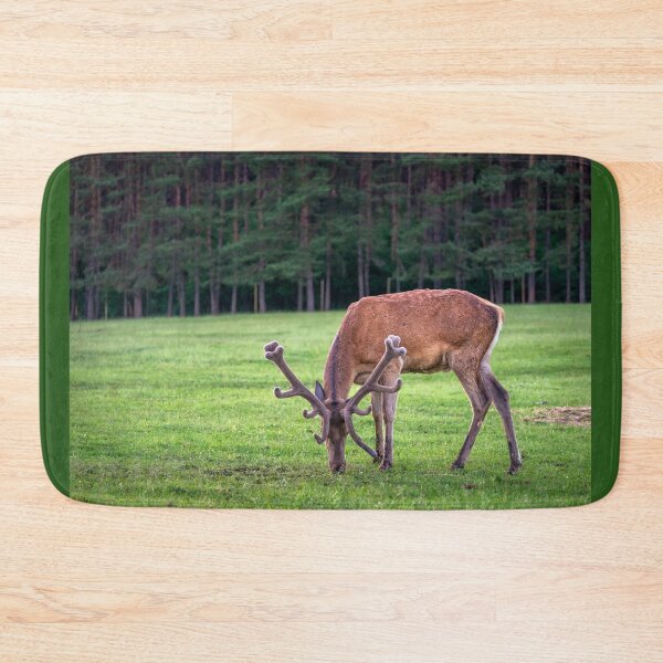 Item preview, A majestic red deer grazing in a meadow in summer designed and sold by AlbertMi.