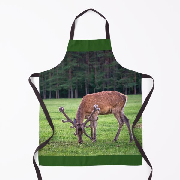 Item preview, A majestic red deer grazing in a meadow in summer designed and sold by AlbertMi.
