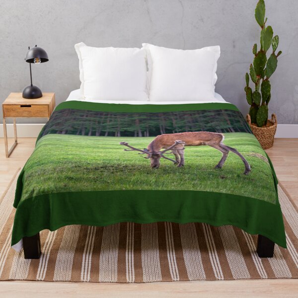 Item preview, A majestic red deer grazing in a meadow in summer designed and sold by AlbertMi.