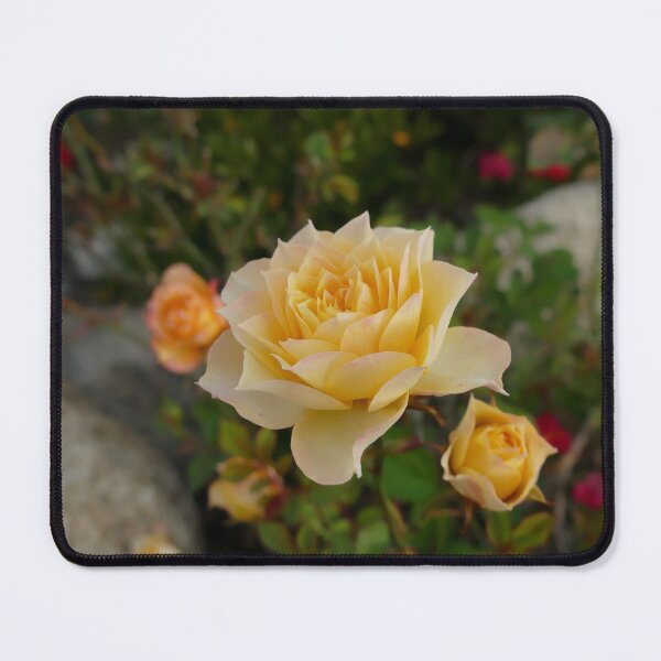 Item preview, Pretty Yellow Roses designed and sold by jaynerushton.