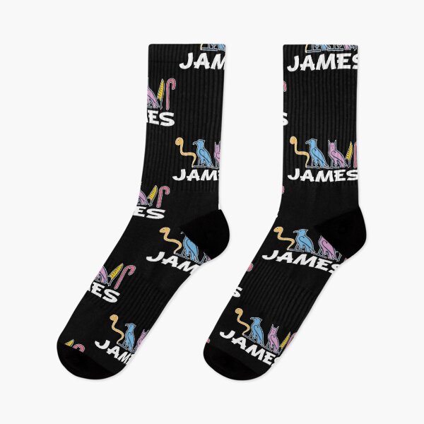 Item preview, JAMES-American names in hieroglyphic letters-James, name in a Pharaonic Khartouch-Hieroglyphic pharaonic names designed and sold by Quotesgallery.