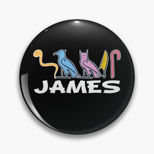 Artikelvorschau, JAMES – amerikanische Namen in Hieroglyphenbuchstaben – James, Name in einem pharaonischen Khartouch – hieroglyphische pharaonische Namen entworfen und verkauft von Quotesgallery.