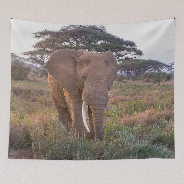 Item preview, Elephant in the safari designed and sold by Midnight-Hour.
