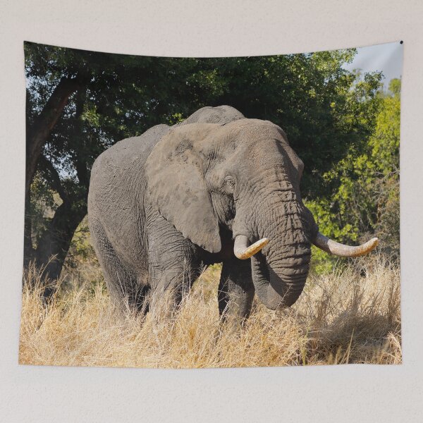 Item preview, Elephant in the grass designed and sold by Midnight-Hour.