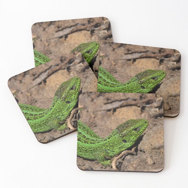 Item preview, Green lizard on rocks designed and sold by Midnight-Hour.