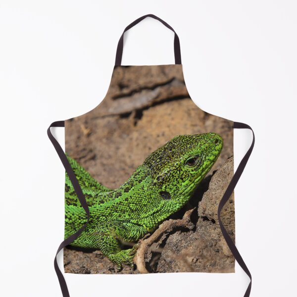 Item preview, Green lizard on rocks designed and sold by Midnight-Hour.