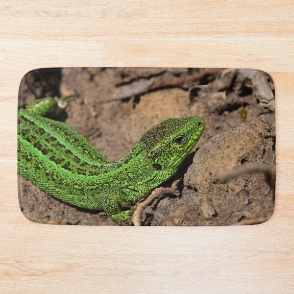 Item preview, Green lizard on rocks designed and sold by Midnight-Hour.