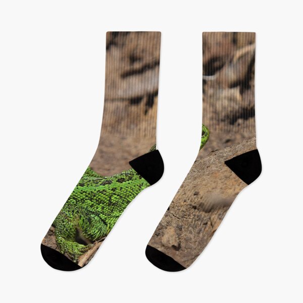 Item preview, Green lizard on rocks designed and sold by Midnight-Hour.