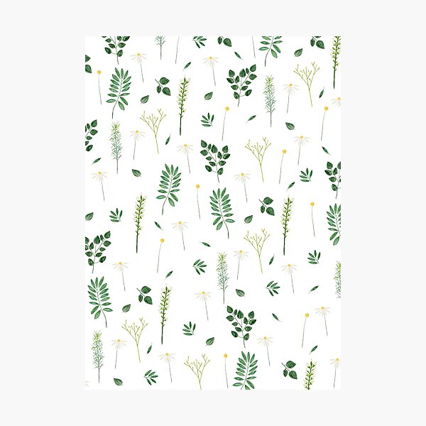 Wildflowers I Photographic Print