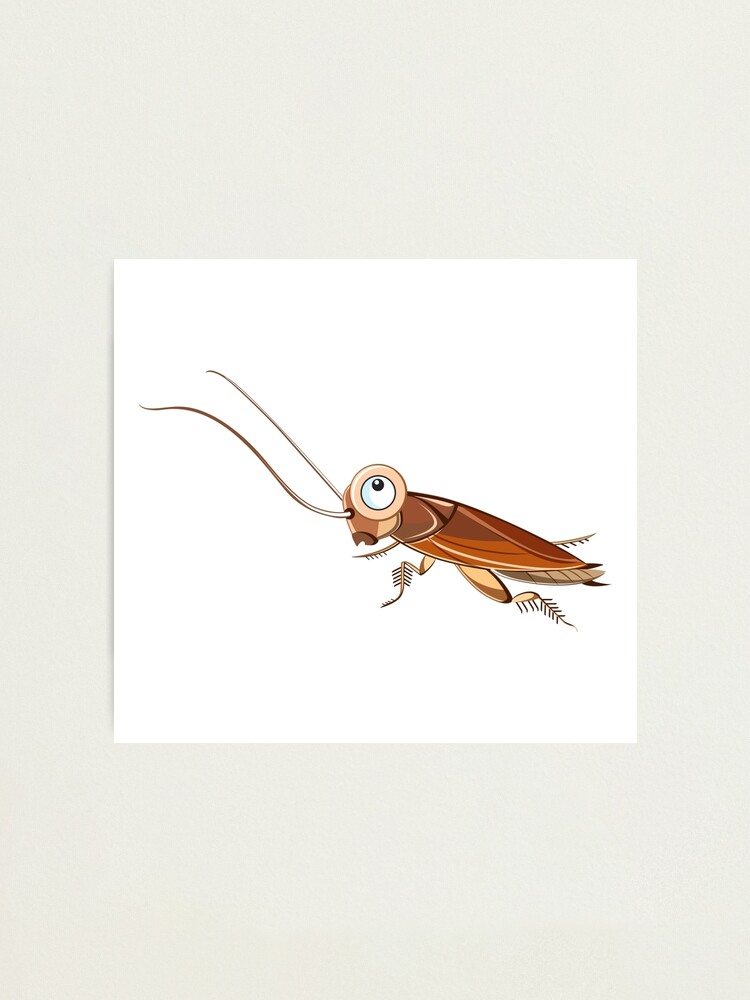 "Cockroach Cartoon Character" Photographic Print by Gotcha29 | Redbubble