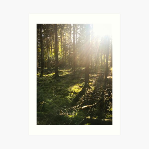 Wanderlust II Kunstdruck