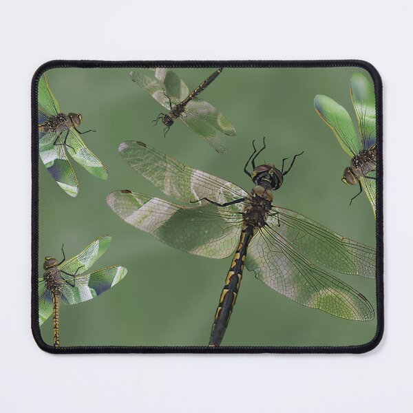 Item preview, Dragonflys a darting designed and sold by artimaeus.