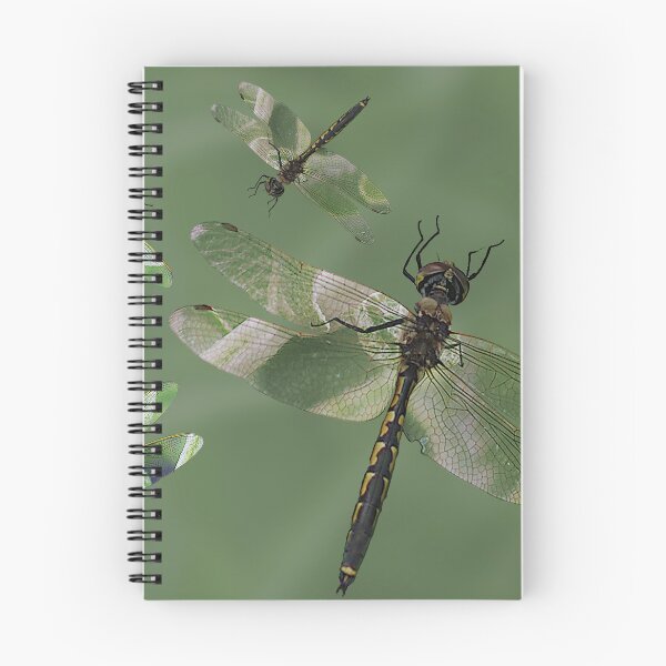 Item preview, Dragonflys a darting designed and sold by artimaeus.