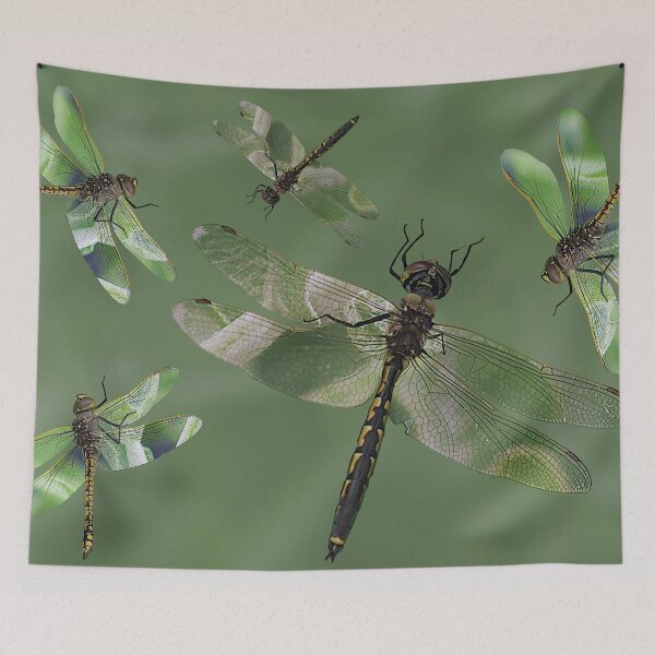 Item preview, Dragonflys a darting designed and sold by artimaeus.