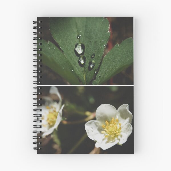 Item preview, Wild Strawberry found on a Hike in Eastern Oregon, Pacific Northwest designed and sold by caitriderphoto.