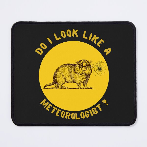 Item preview, Do I look like a meteorologist? Groundhog Day t-shirt. designed and sold by Rowbic.