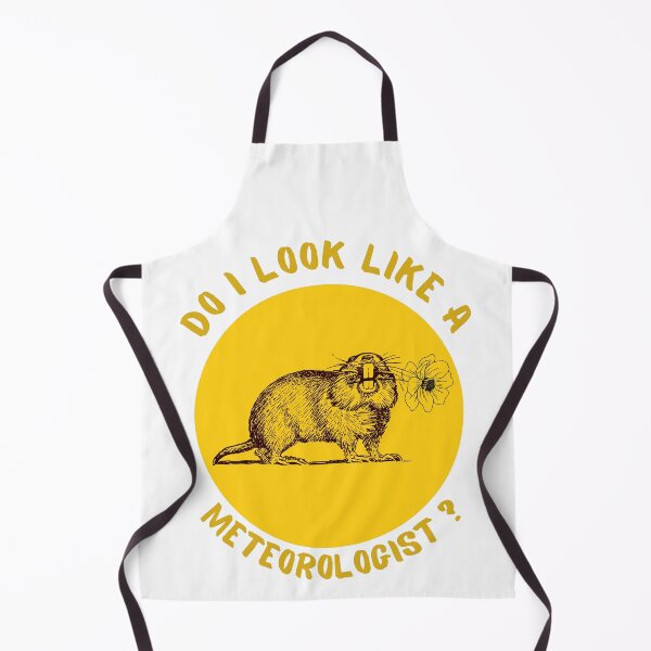 Item preview, Do I look like a meteorologist? Groundhog Day t-shirt. designed and sold by Rowbic.