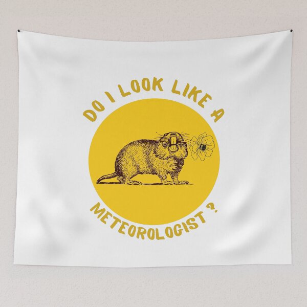 Item preview, Do I look like a meteorologist? Groundhog Day t-shirt. designed and sold by Rowbic.