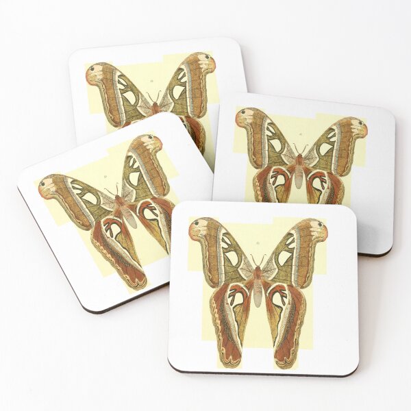 Item preview, "Elegant Wings" Vintage Butterfly Wall Art - Animal wall art, Butterfly home decor, Save the butterflies, Butterfly lover,  Prints designed and sold by rdreubss7.