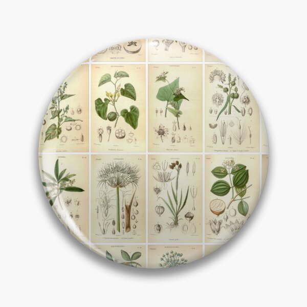 Item preview, Vintage Vegetable Drawings, Landscape, Green, poster designed and sold by Michael Dietrich.