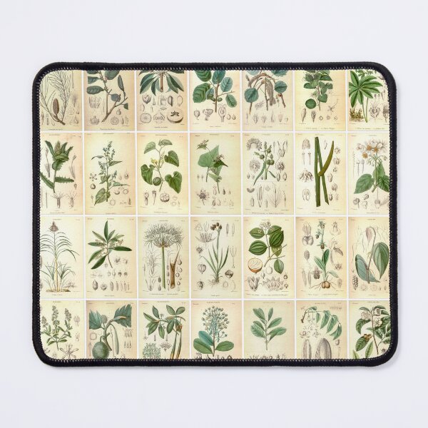 Item preview, Vintage Vegetable Drawings, Landscape, Green, poster designed and sold by Michael Dietrich.