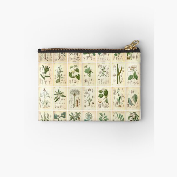Item preview, Vintage Vegetable Drawings, Landscape, Green, poster designed and sold by Michael Dietrich.