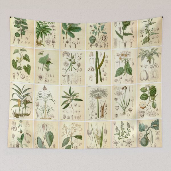 Item preview, Vintage Vegetable Drawings, Portrait, Green designed and sold by Michael Dietrich.