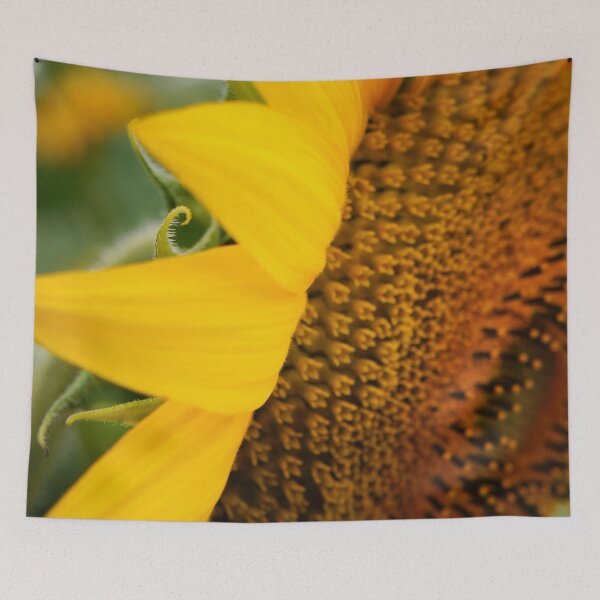 Item preview, Sunflower Curl Macro designed and sold by Nalinne Jones.