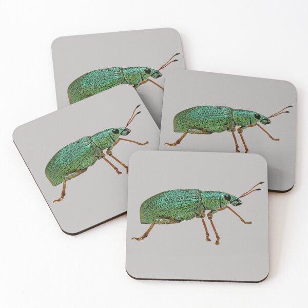 Item preview, Weevil Beetle designed and sold by RainbowSpinkle.