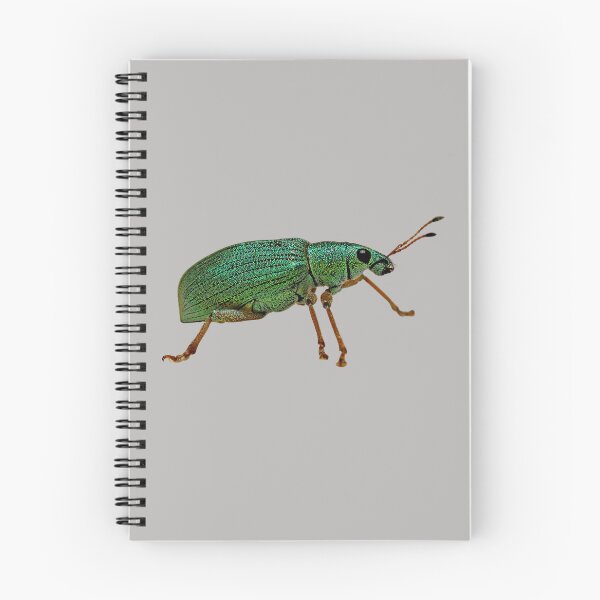 Item preview, Weevil Beetle designed and sold by RainbowSpinkle.
