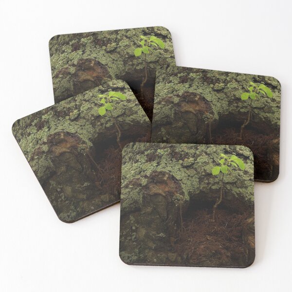 Item preview, Magical Tree Stump designed and sold by Nalinne Jones.
