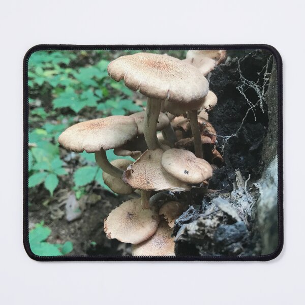 Item preview, Mushroom in natural.  designed and sold by Kin9Me.