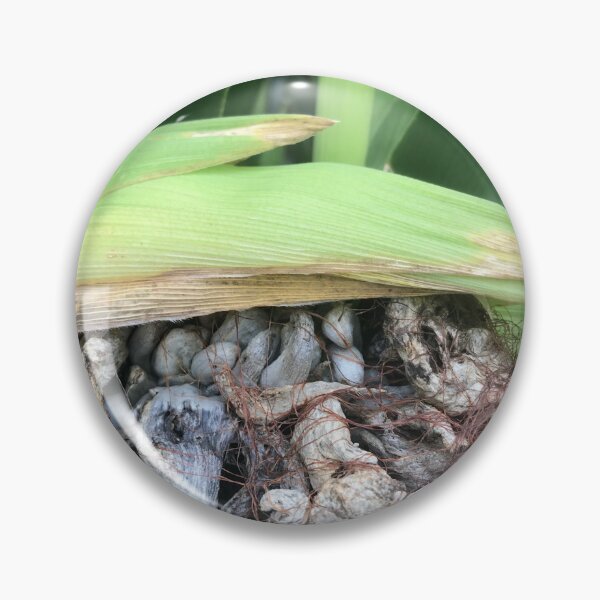 Item preview, A Maze-ing Mushrooms in nature designed and sold by Kin9Me.
