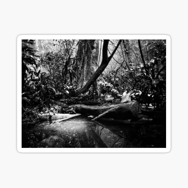 Enclosure (Rainforest) Sticker