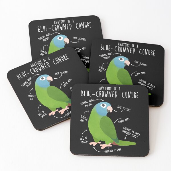 Item preview, Blue-Crowned Conure Parrot Anatomy designed and sold by Clara Hollins.