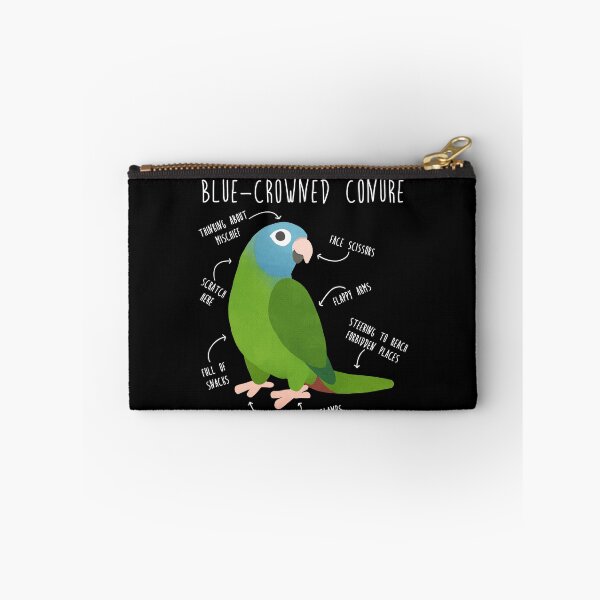 Item preview, Blue-Crowned Conure Parrot Anatomy designed and sold by Clara Hollins.