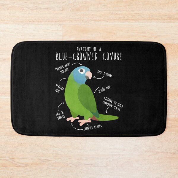 Item preview, Blue-Crowned Conure Parrot Anatomy designed and sold by Clara Hollins.