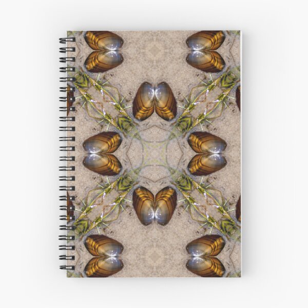 Item preview, Kaleidoscope Beach and Shells designed and sold by CanidaeVulpes.