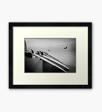 Surf Boards Framed Print