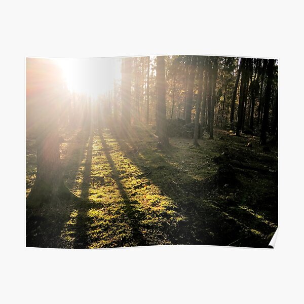Waldeslust I Poster