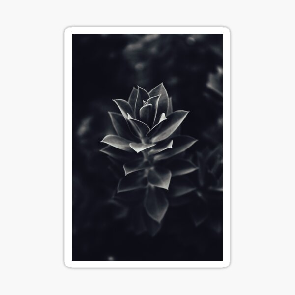 Leaves Sticker