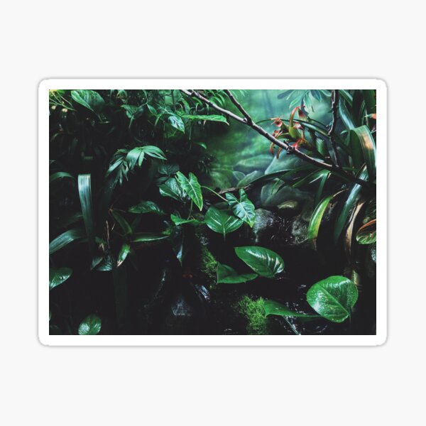 Enclosure (Green) Sticker