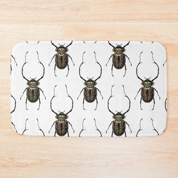 Item preview, Asian Long Arm Beetle from Vietnam, Cheirotonus battareli designed and sold by bromsbugbox.