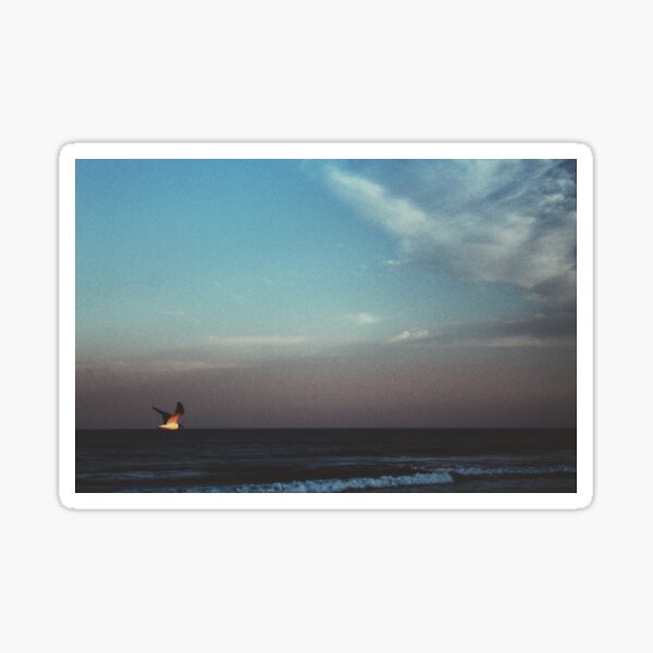 Seagull along the Horizon Sticker